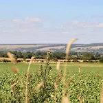 Silverdale View * Ganton